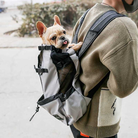 Pet Traveler Backpack