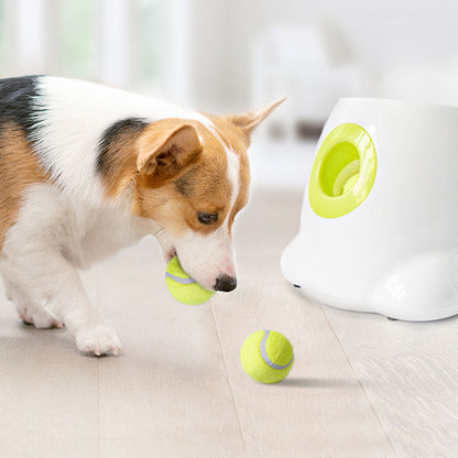 Pet Ball Launcher