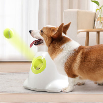 Pet Ball Launcher