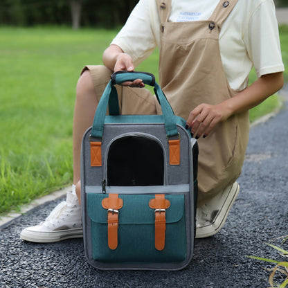 Cat Backpack