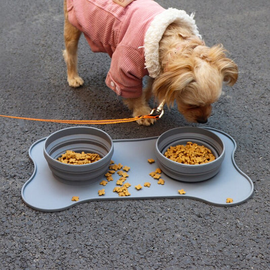 Pet Bowl Folding